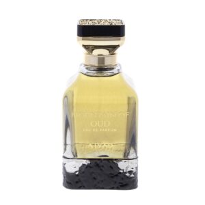 Ajyad Mountain Of Oud Eau de Parfum for Men – 3.4 oz