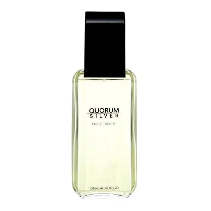 Antonio Puig Quorum Silver Eau de Toilette for Men – 3.4 oz