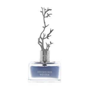 Aurora Scents Winter Eau de Parfum for Women – 3.4 oz