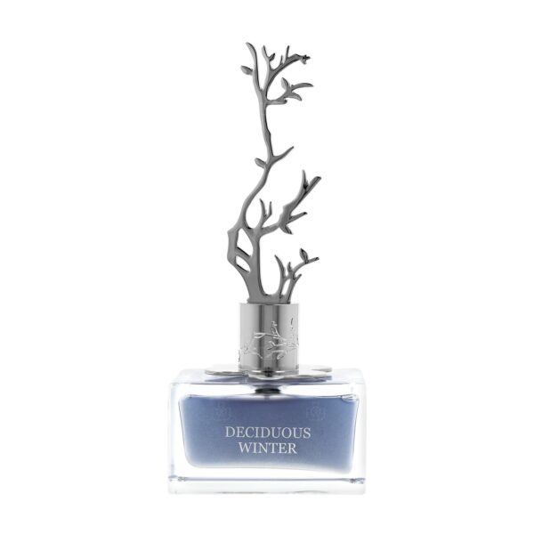 Aurora Scents Winter Eau de Parfum for Women – 3.4 oz