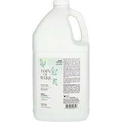 Bain de Terre Green Meadow Balancing Conditioner - 1 Gallon