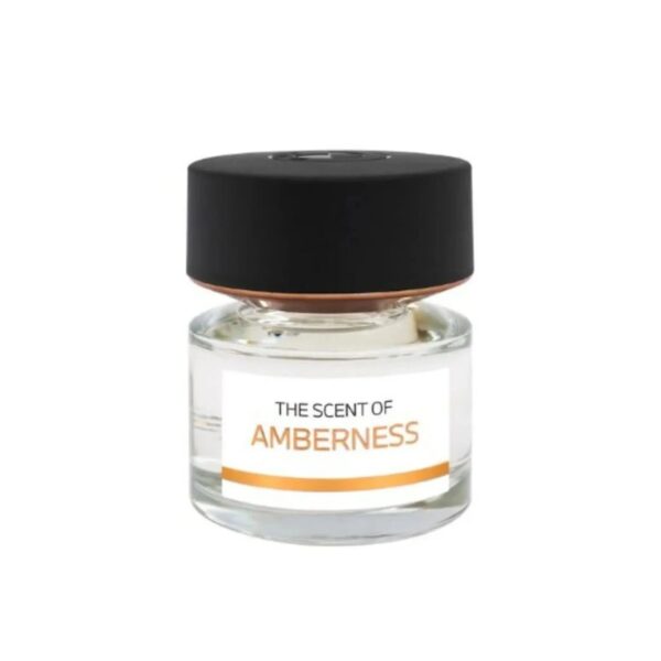 BMW Fragrances Amberness Eau de Parfum for Unisex – 3.4 oz