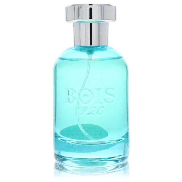 Bois 1920 Verde di Mare Eau de Parfum for Unisex – 3.4 oz
