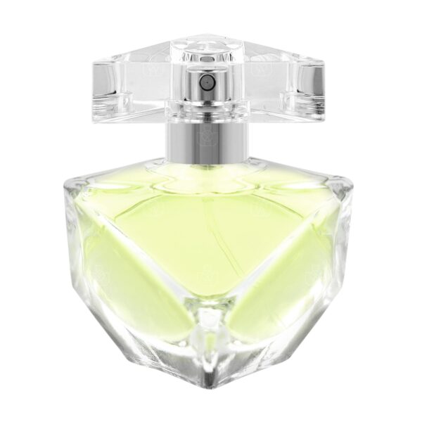 Britney Spears Believe Eau de Parfum for Women – 1.0 oz
