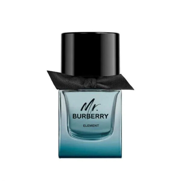 Burberry Mr. Burberry Element Eau de Toilette for Men – 1.6 oz