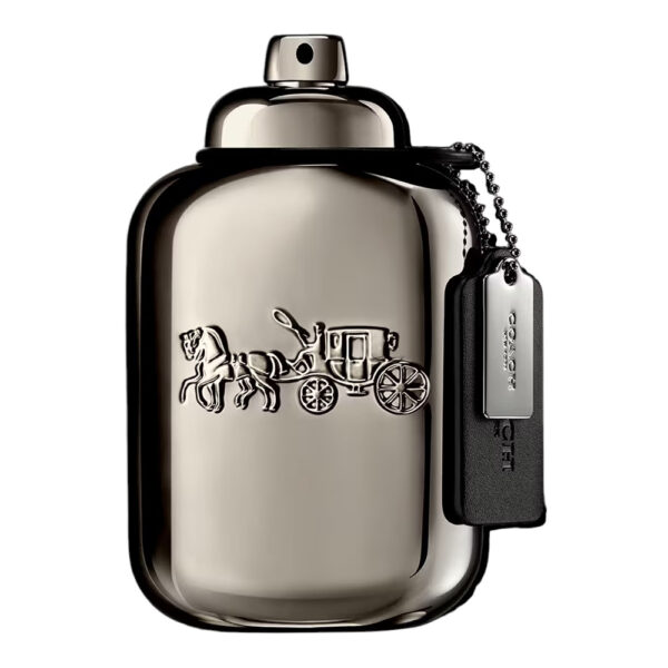 Coach Pure Platinum Parfum for Men