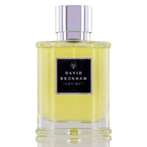 David Beckham Instinct Eau de Toilette for Men – 2.5 oz
