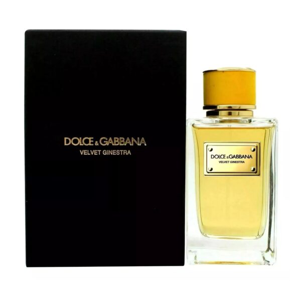 Dolce & Gabbana Dolce & Gabbana Velvet Ginestra Eau de Parfum for Women – 5 oz