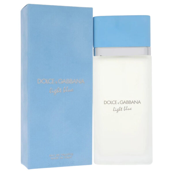 Dolce & Gabbana Light Blue Eau de Toilette for Women – 6.7 oz