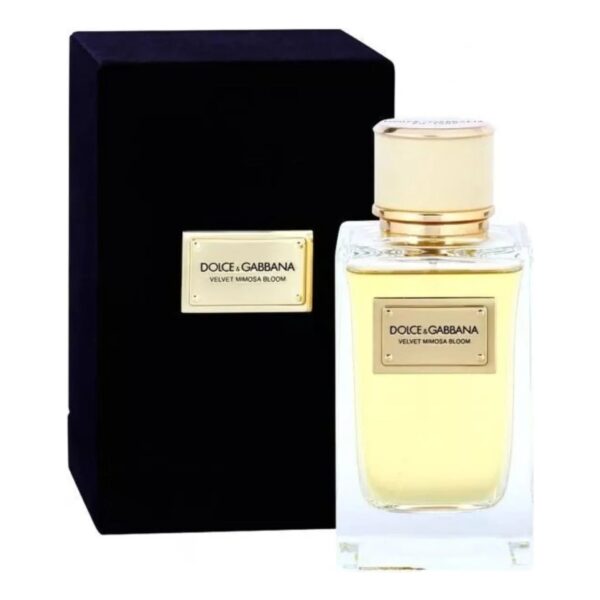 Dolce & Gabbana Dolce & Gabbana Velvet Mimosa Bloom Eau de Parfum for Women – 5 oz