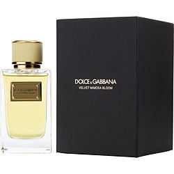 Dolce & Gabbana Velvet Mimosa Bloom Eau de Parfum for Women