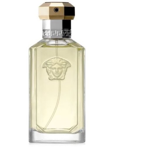 Dreamer Eau de Toilette Spray for Men - 3.4 oz
