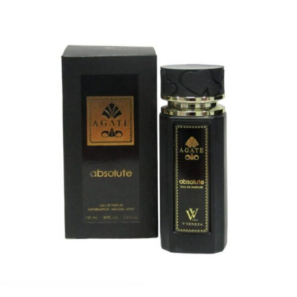 Dumont Paris Dumont Agate Absolute Eau de Parfum for Men – 3.4 oz