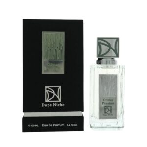 Dupe Niche Citrus Passion Eau de Parfum for Unisex – 3.4 oz