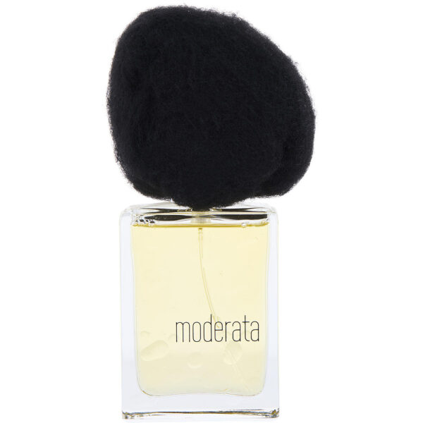 Filippo Sorcinelli Pioggia Moderata Extrait de Parfum for Unisex – 1.7 oz