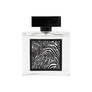 Fragrance World World Encrypt Eau de Parfum for Men – 2.8 oz