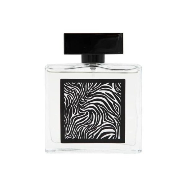 Fragrance World World Encrypt Eau de Parfum for Men – 2.8 oz