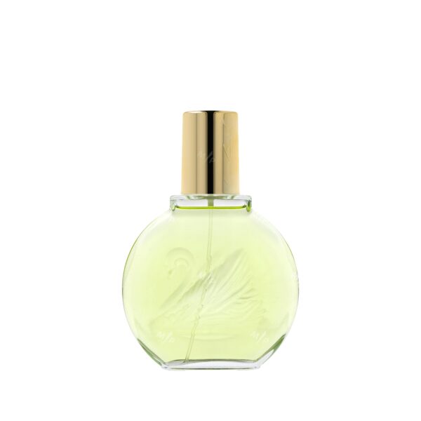 Gloria Vanderbilt Vanderbilt Jardin A New York Eau de Parfum for Women – 3.4 oz