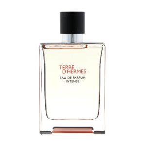 Hermes Terre D'Hermes Intense Eau de Parfum for Men – 3.3 oz