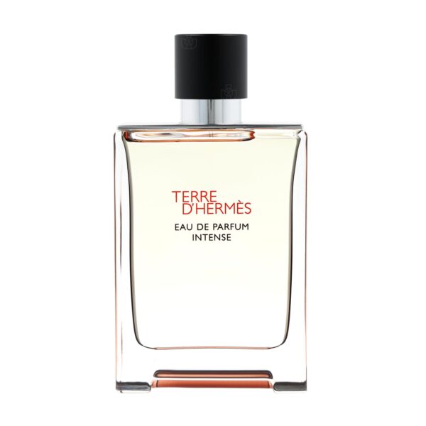 Hermes Terre D'Hermes Intense Eau de Parfum for Men – 3.3 oz
