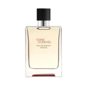 Hermes Terre D'Hermes Intense Eau de Parfum for Men – 3.3 oz