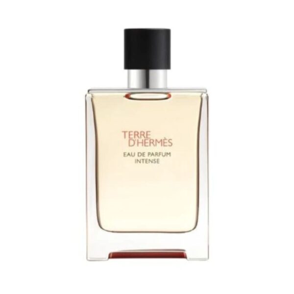 Hermes Terre D'Hermes Intense Eau de Parfum for Men – 3.3 oz