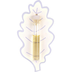 Ines De La Fressange by Ines de la Fressange Eau de Parfum for Women