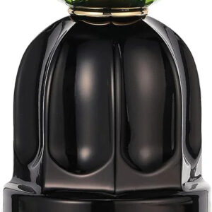 Les Indemodables Riviera Oud Eau de Parfum for Women – 3 oz