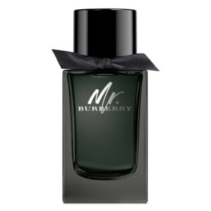 Mr. Burberry Eau de Parfum for Men