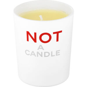 Not A Perfume by Juliette Has a Gun Scented Candle 2.5 OZ