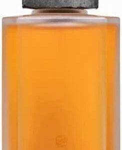 Parfumerie Particuliere Belle Epoque Extrait de Parfum for Unisex – 3.4 oz