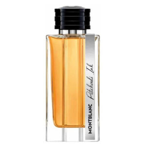 Montblanc Patchouli Ink Eau de Parfum for Unisex – 4.1 oz