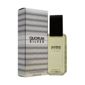 Quorum Silver Eau de Toilette Spray for Men - 3.4 oz