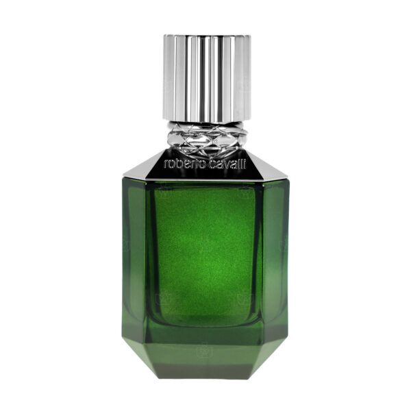 Roberto Cavalli Paradise Found Eau de Toilette for Men – 2.5 oz