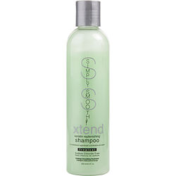 Simply Smooth XTEND Keratin Replenishing Shampoo - 8.5 oz