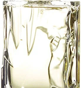 Sisley Eau d'Ikar Eau de Toilette for Men – 3.3 oz