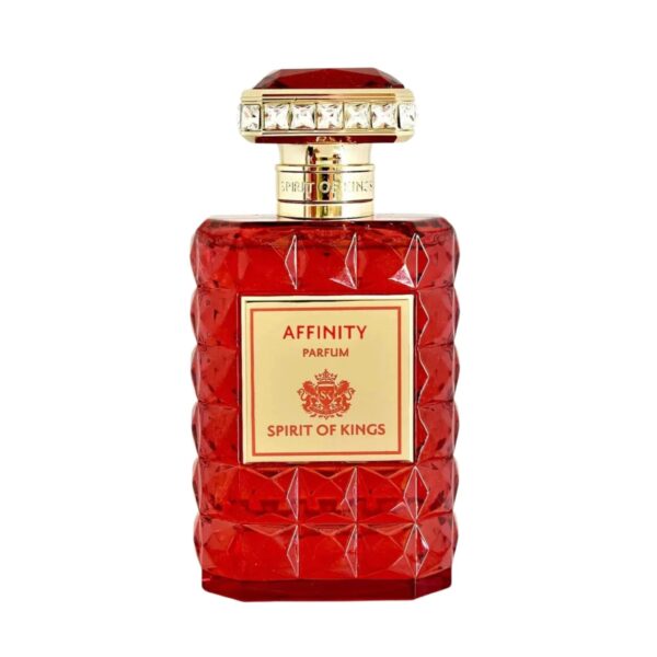 Spirit Of Kings Affinity Parfum for Unisex – 3.4 oz