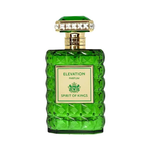 Spirit Of Kings Elevation Parfum for Unisex – 3.4 oz