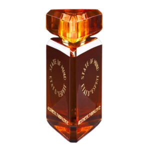 State Of Mind Aesthetic Turbulence Eau de Parfum for Unisex – 3.4 oz