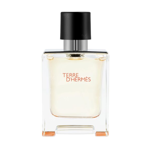 Hermes Terre D'Hermes Eau de Toilette for Men – 1.6 oz