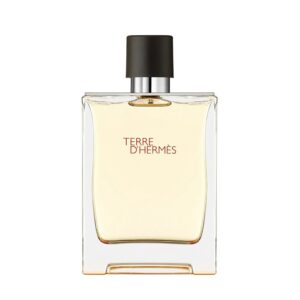 Hermes Terre D'Hermes Eau de Toilette for Men – 3.4 oz