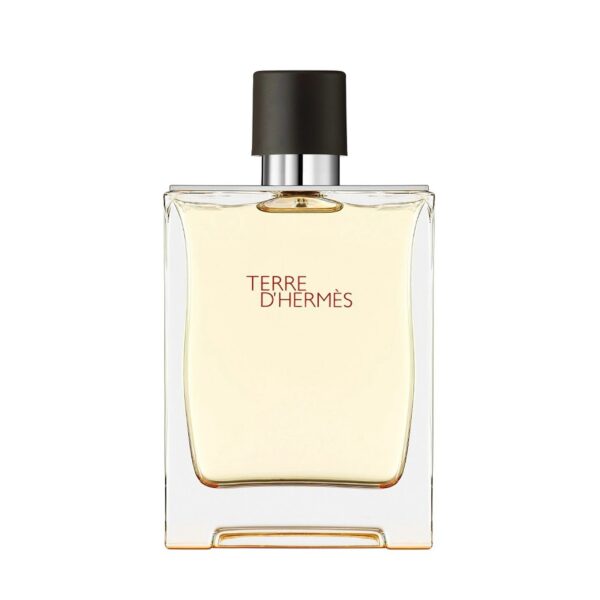Hermes Terre D'Hermes Eau de Toilette for Men – 3.4 oz