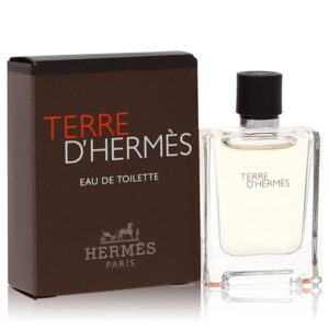Terre D'hermes Eau de Toilette for Men
