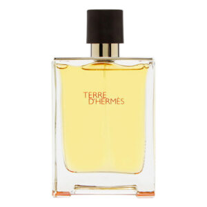 Terre D'Hermes Eau de Toilette for Men – 3.3 oz