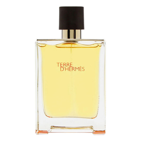 Terre D'Hermes Eau de Toilette for Men – 3.3 oz