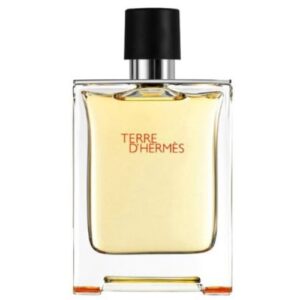 Terre d'Hermès Men's Eau de Toilette Spray 3.4 oz