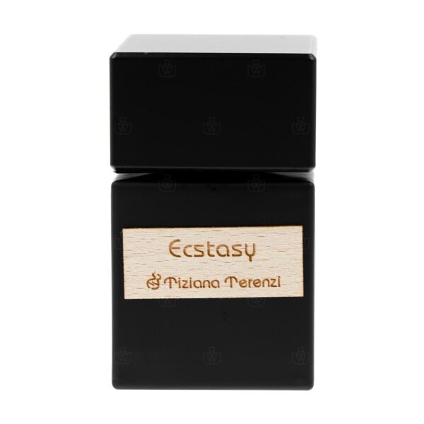 Tiziana Terenzi Ecstasy Extrait de Parfum for Unisex – 3.3 oz