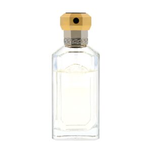 Versace The Dreamer Eau de Toilette for Men – 1.7 oz