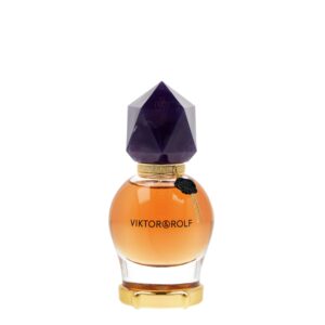 Viktor & Rolf Viktor & Rolf Good Fortune Eau de Parfum for Women – 1.0 oz