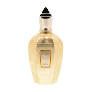 Xerjoff Accento Overdose The Vibe Collection Eau de Parfum for Unisex – 3.4 oz